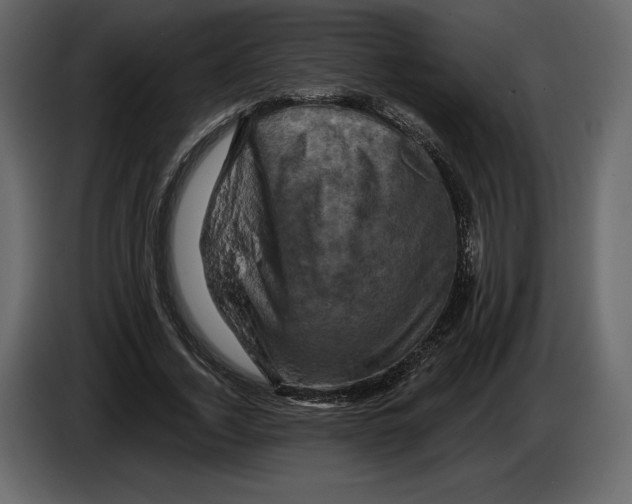 X0000084560732200703231758