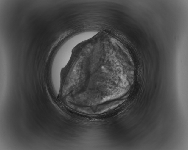 X0000084560734200703231758