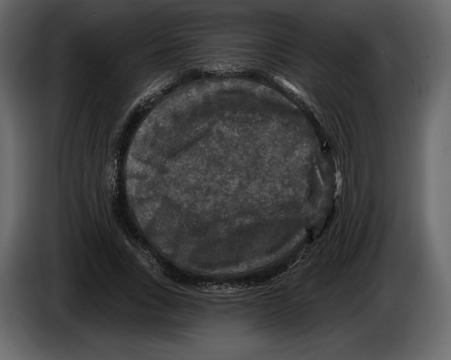 X0000084560735200703231758