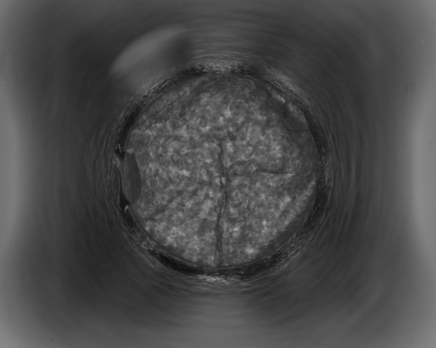 X0000084560737200703231758