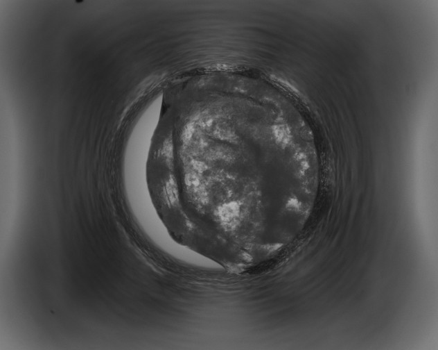 X0000084560738200703231758