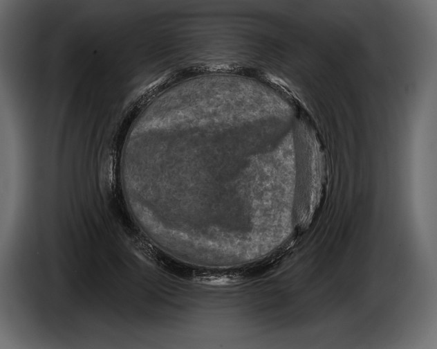 X0000084560740200703231758