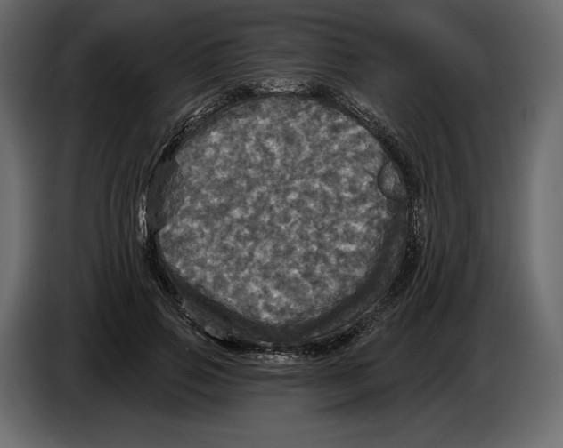 X0000084560741200703231758