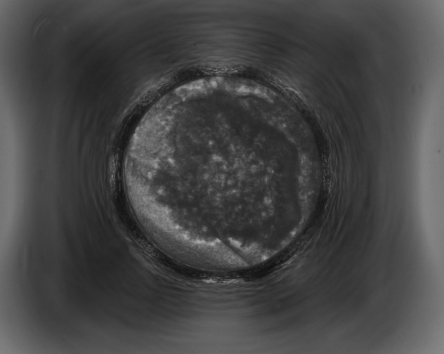 X0000084560742200703231758