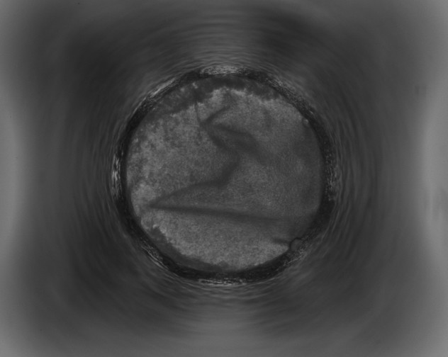 X0000084560743200703231758