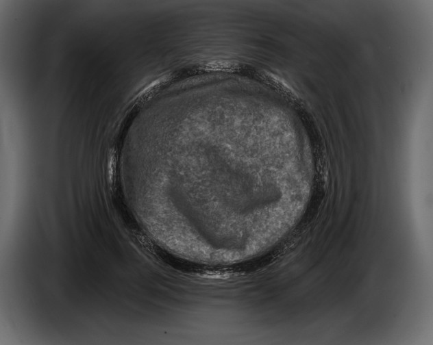 X0000084560744200703231758