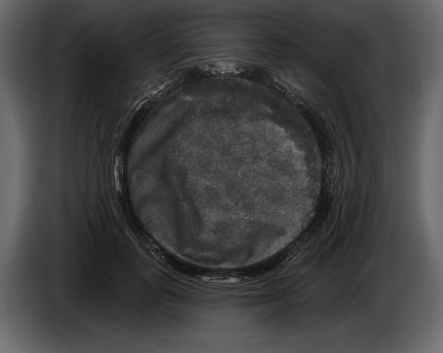 X0000084560747200703231758