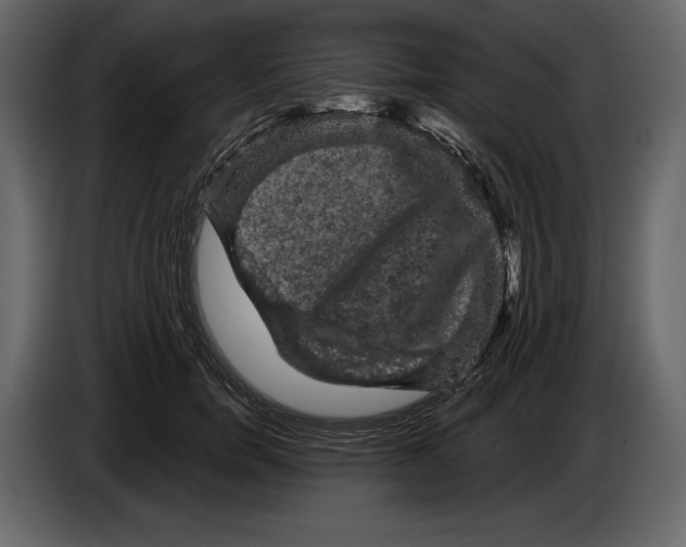 X0000084560750200703231758