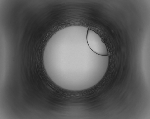 X0000084560752200703231758