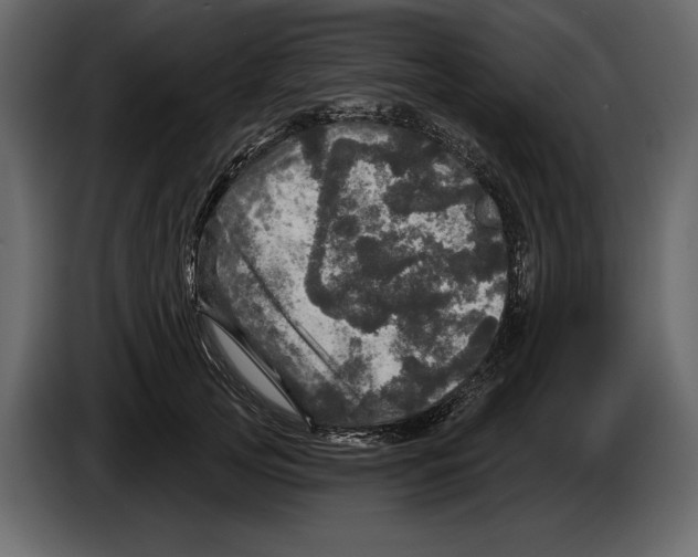 X0000084560753200703231758