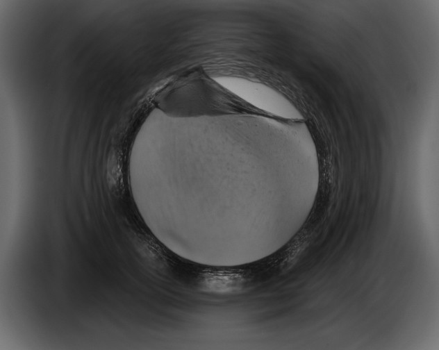 X0000084560754200703231758