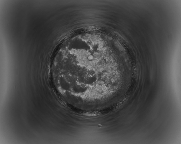 X0000084560757200703231758