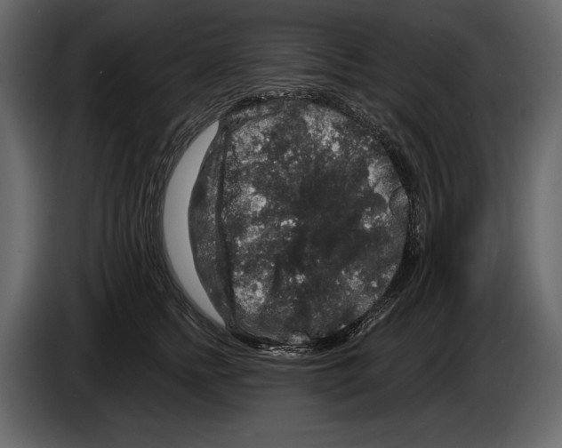 X0000084560758200703231758