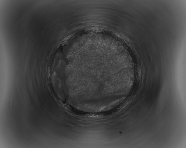 X0000084560759200703231758