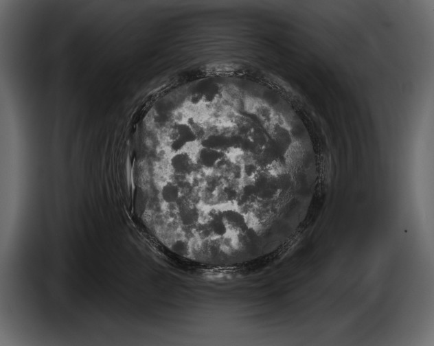 X0000084560761200703231758