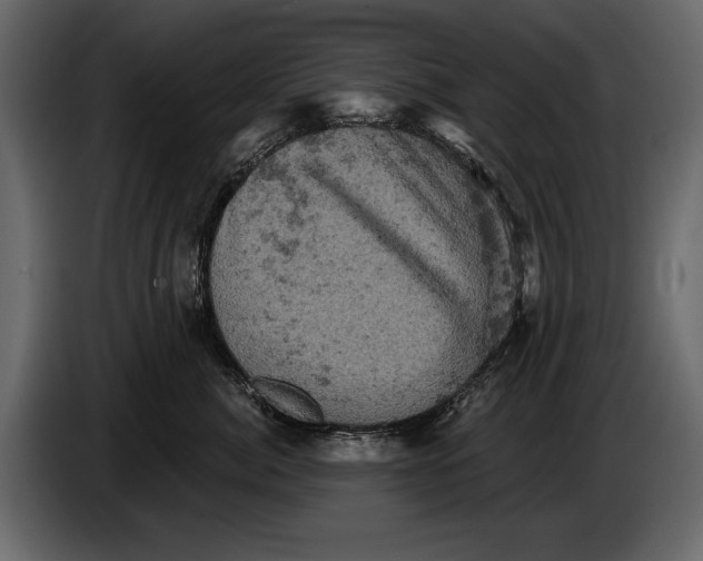 X0000084560764200703231758