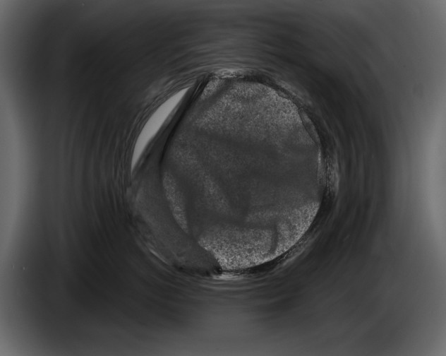 X0000084560766200703231758