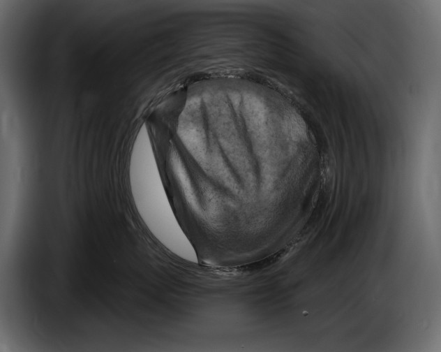 X0000084560767200703231758