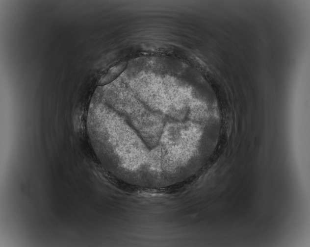 X0000084560770200703231758