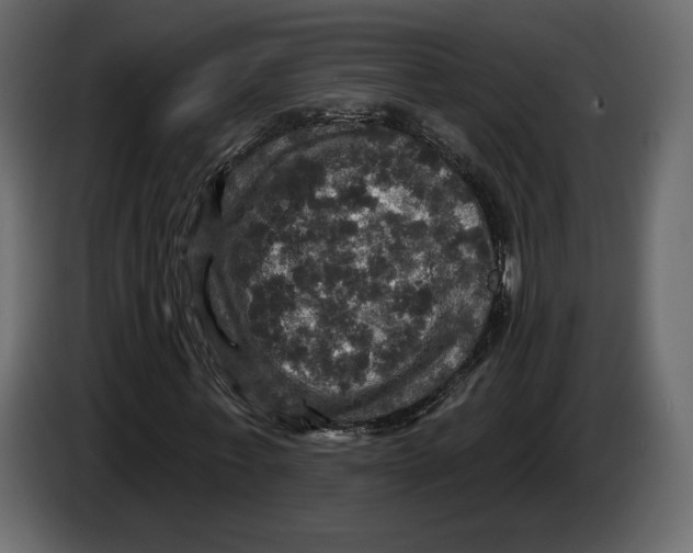 X0000084560771200703231758