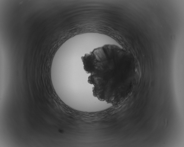 X0000084560772200703231758