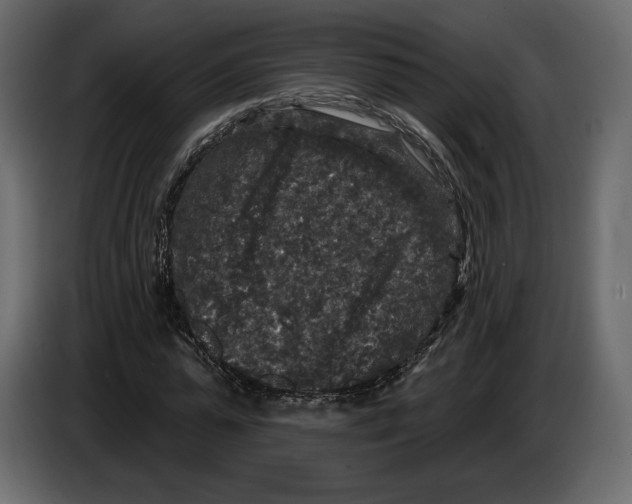 X0000084560775200703231758