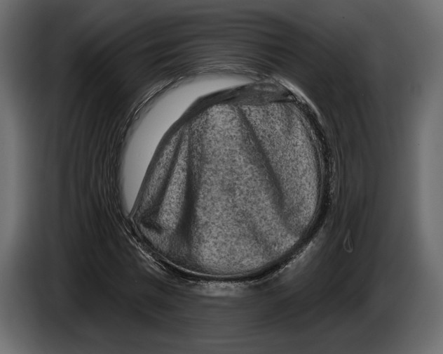 X0000084560777200703231758