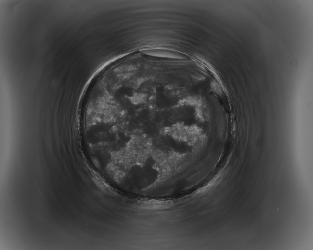 X0000084560779200703231757