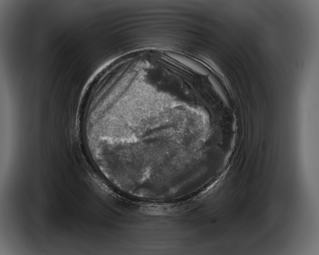 X0000084560780200703231757