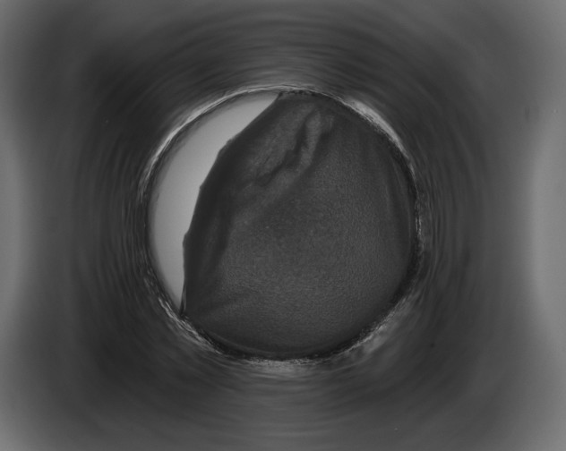 X0000084560781200703231757