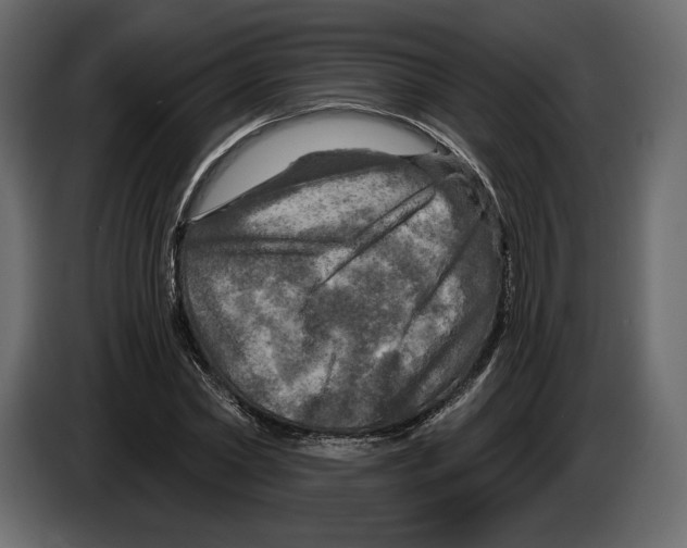 X0000084560782200703231757