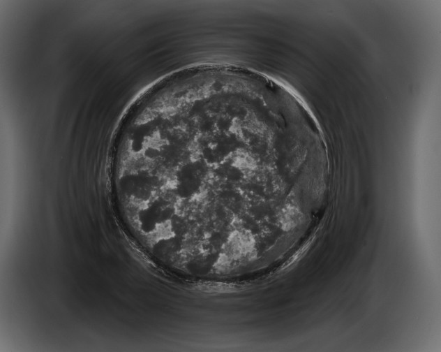 X0000084560783200703231757