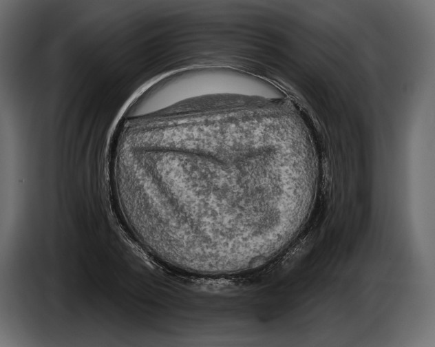 X0000084560784200703231757