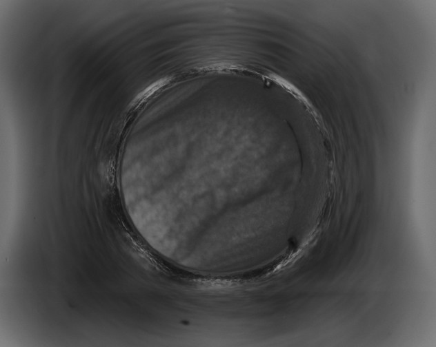 X0000084560785200703231757