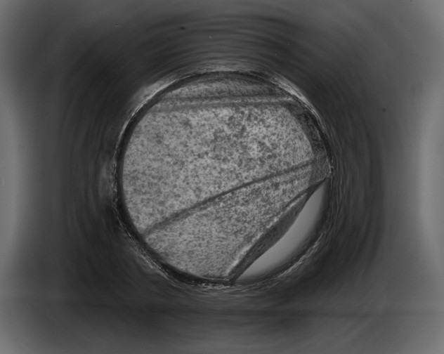 X0000084560786200703231757