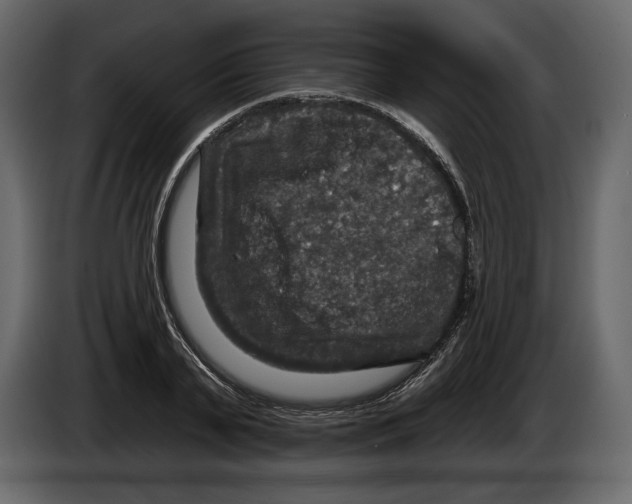 X0000084560791200703231757