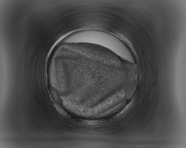 X0000084560792200703231757