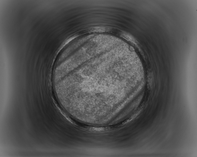 X0000084560794200703231757