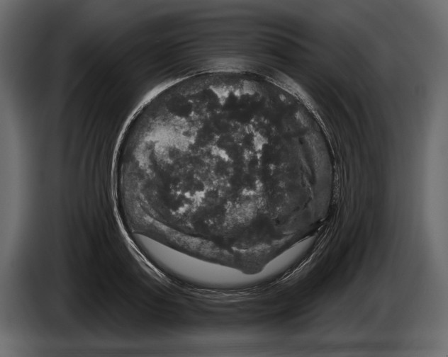 X0000084560795200703231757