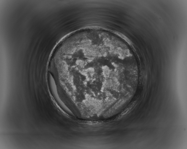 X0000084560799200703231757