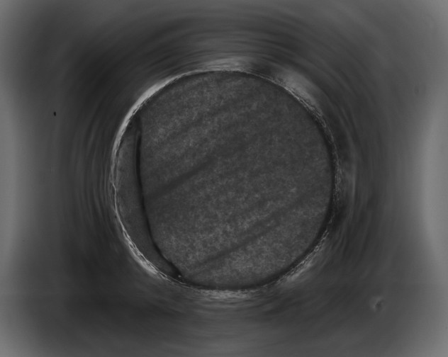 X0000084560800200703231757