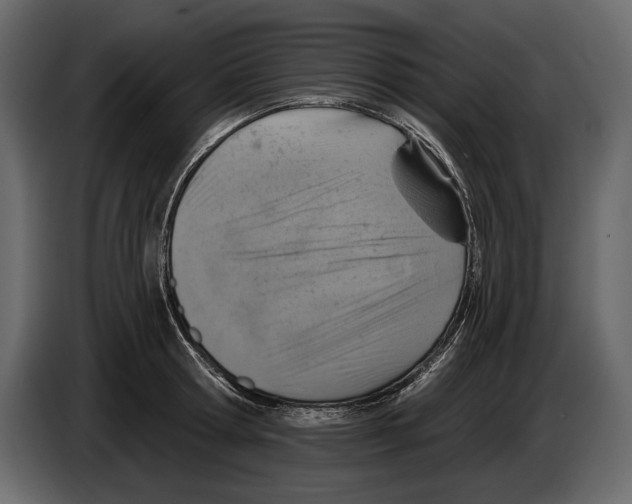 X0000084560802200703231757