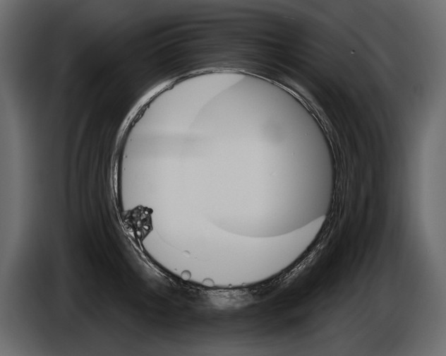 X0000084560804200703231757