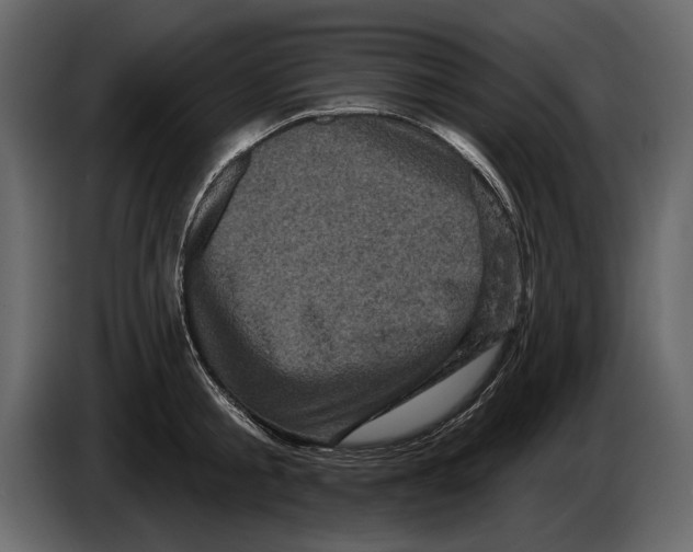 X0000084560805200703231757