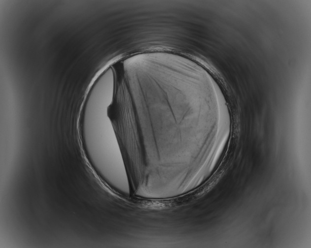 X0000084560806200703231757