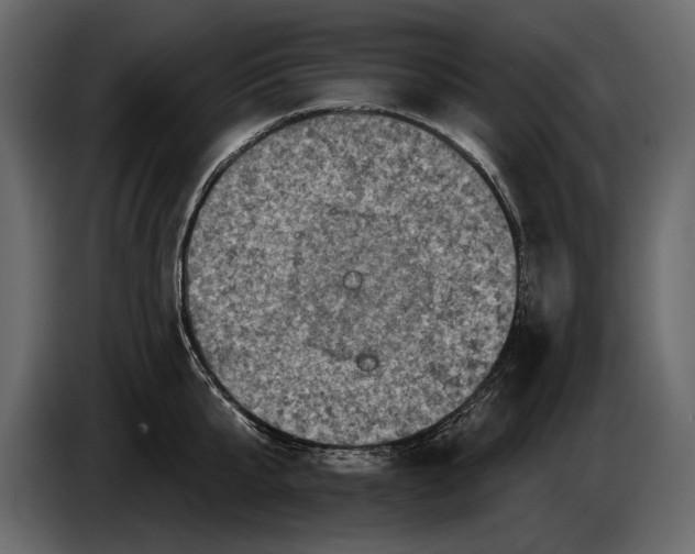 X0000084560807200703231757