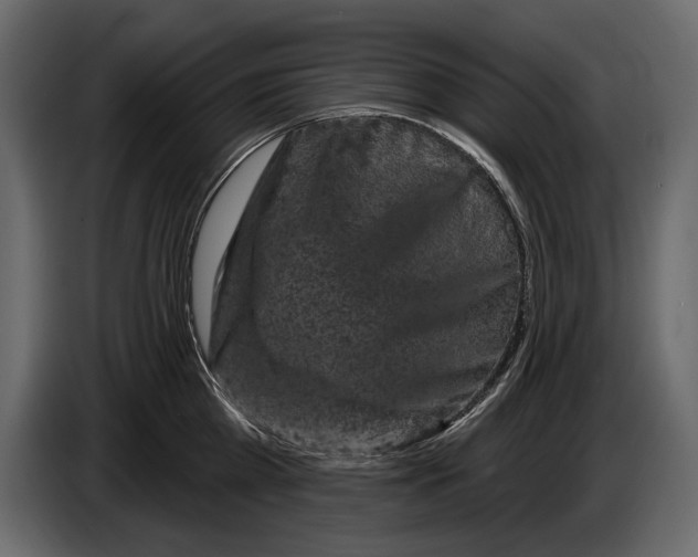 X0000084560809200703231757