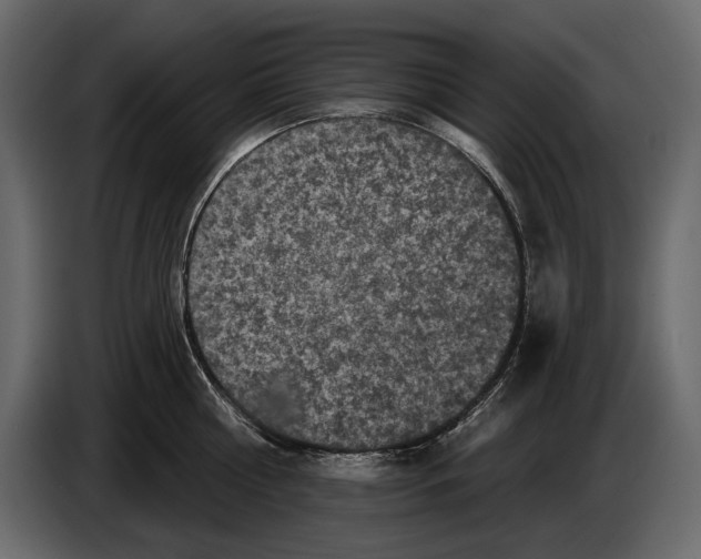 X0000084560810200703231757