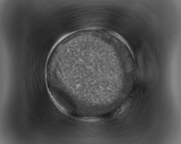 X0000084560811200703231757