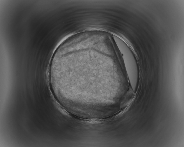 X0000084560814200703231757